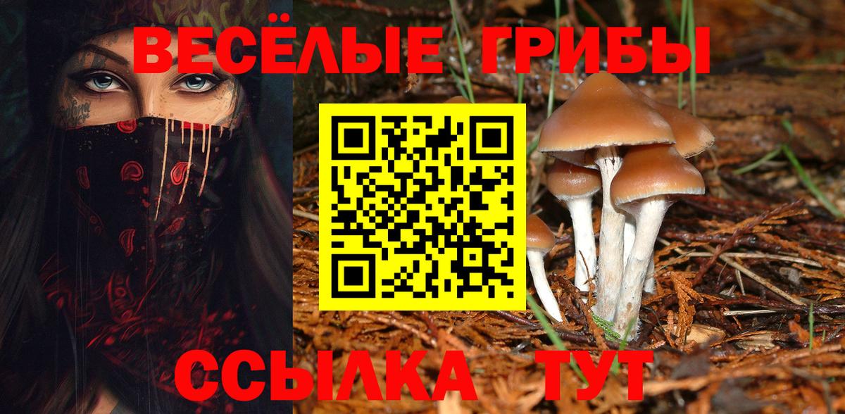 Псилоцибиновые грибы MAGIC MUSHROOMS  Вход с VPN  Псилоцибиновые грибы Cubensis  закладка  Люберцы 