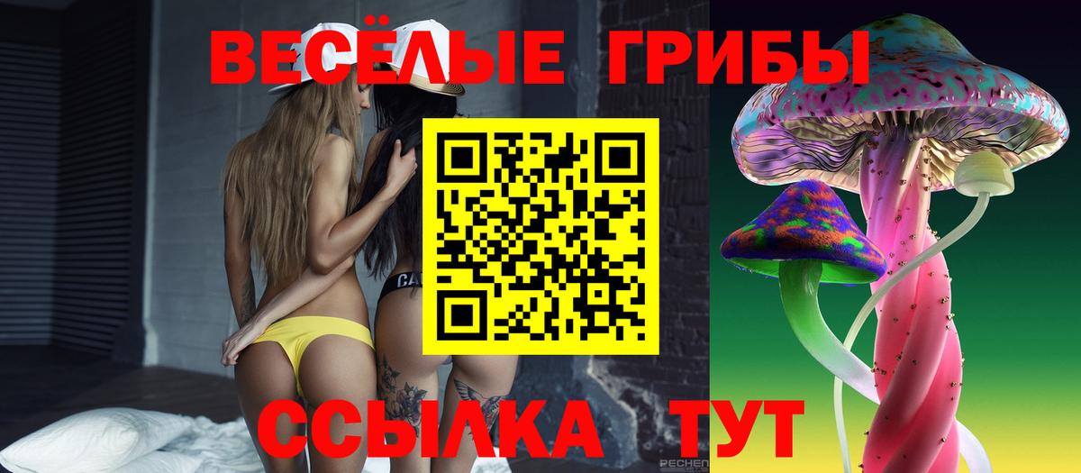 Галлюциногенные грибы Psilocybine cubensis Люберцы